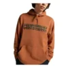 Chuck Taylor All Star Logo Namesake Hoodie Asya Bedenleri “Haki”