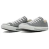 Chuck Taylor All Star Ox “Gri”