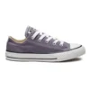 Chuck Taylor All Star Seasonal Low Top “Mor Beyaz”
