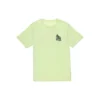 Chuck Taylor All Star Summer Super Incredible Özel Tişört Asya Bedenleri “Yeşil”