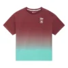 Converse x Patta Gold Standard T-Shirt Asya Bedenleri “Copper Teal”