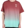 Converse x Patta Gold Standard T-Shirt Asya Bedenleri “Copper Teal”